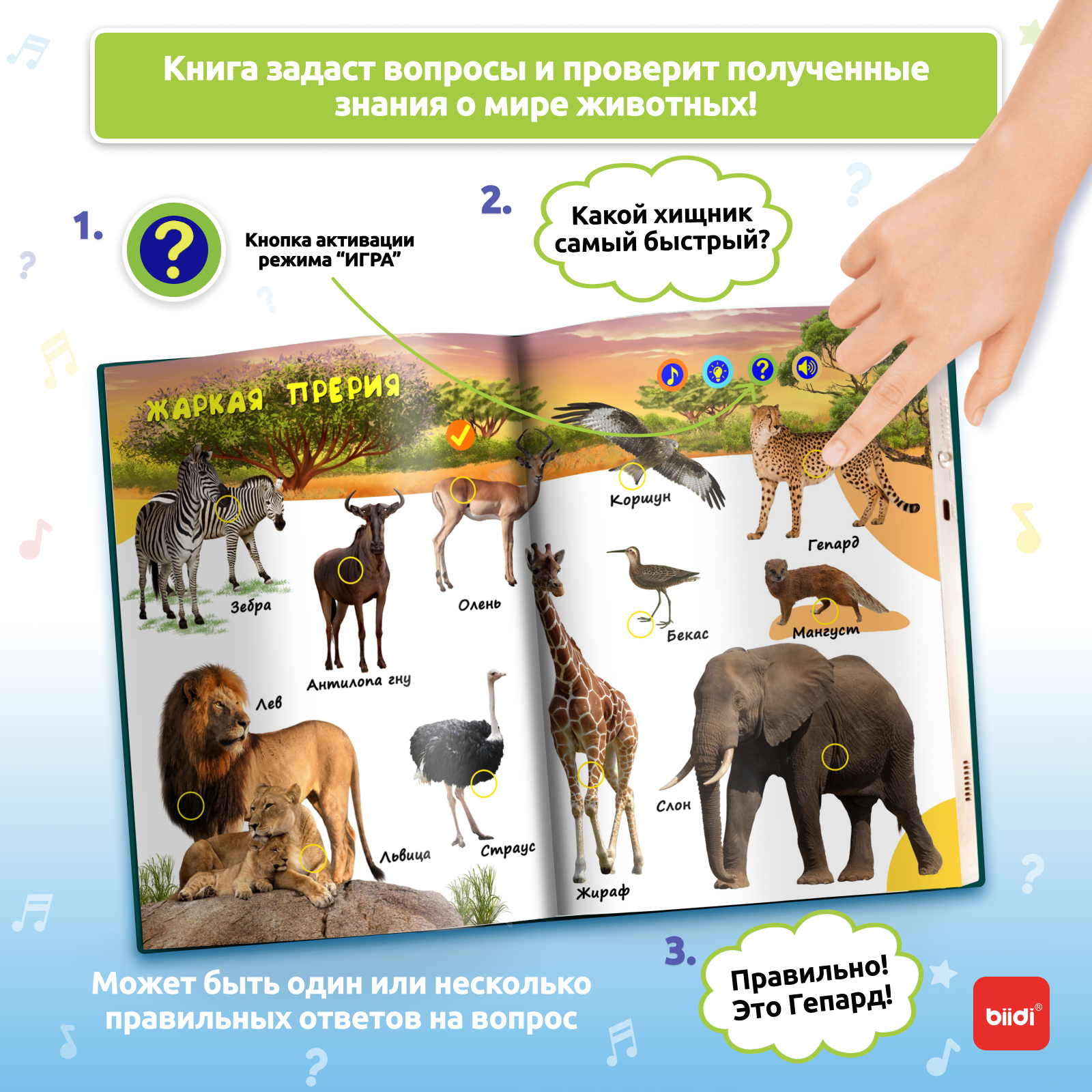 Biidi learning game for kids M - Education Kids Ru avis et prix