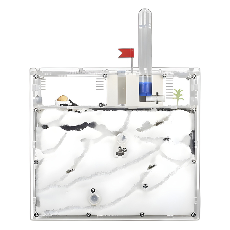 Ants Kingdom Ants House Castle - Kingdom Kids Education avis et prix