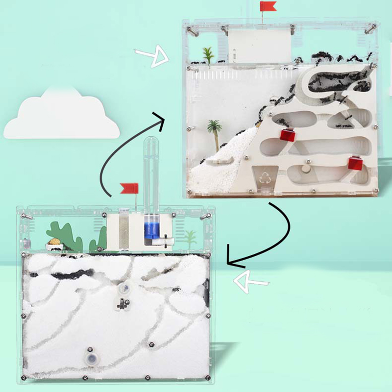 Ants Kingdom Ants House Castle - Kingdom Kids Education avis et prix