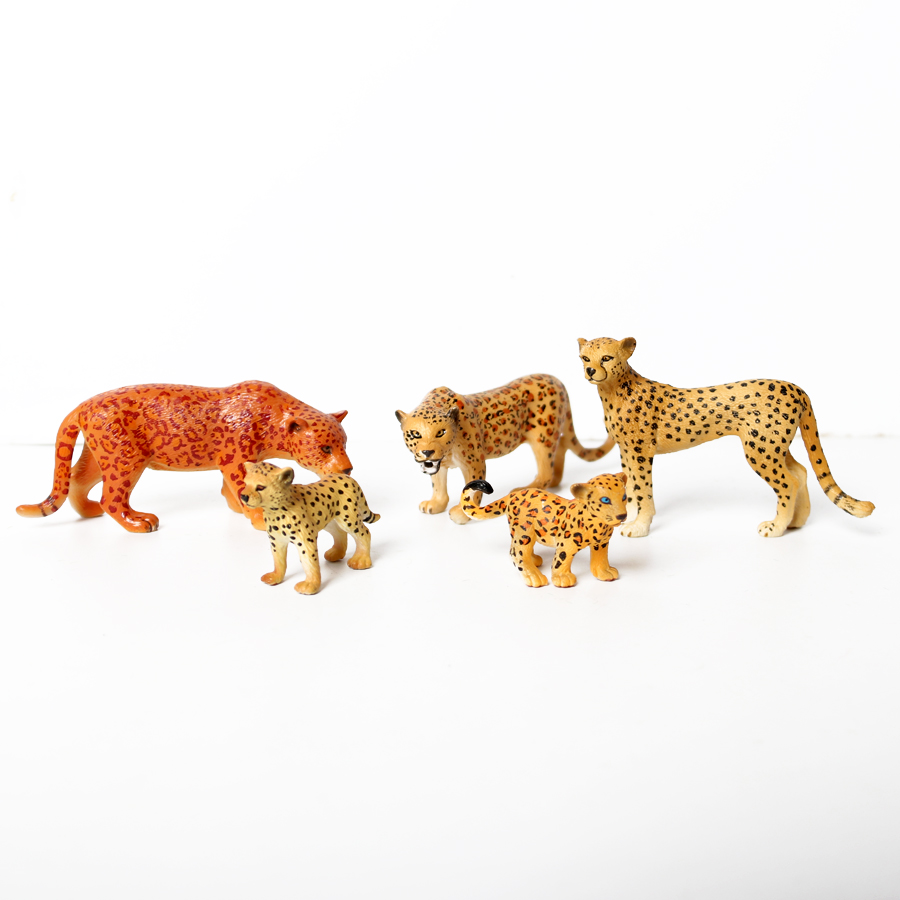 Genuine Wild Animal Kingdom Wh - Kingdom Kids Education avis et prix