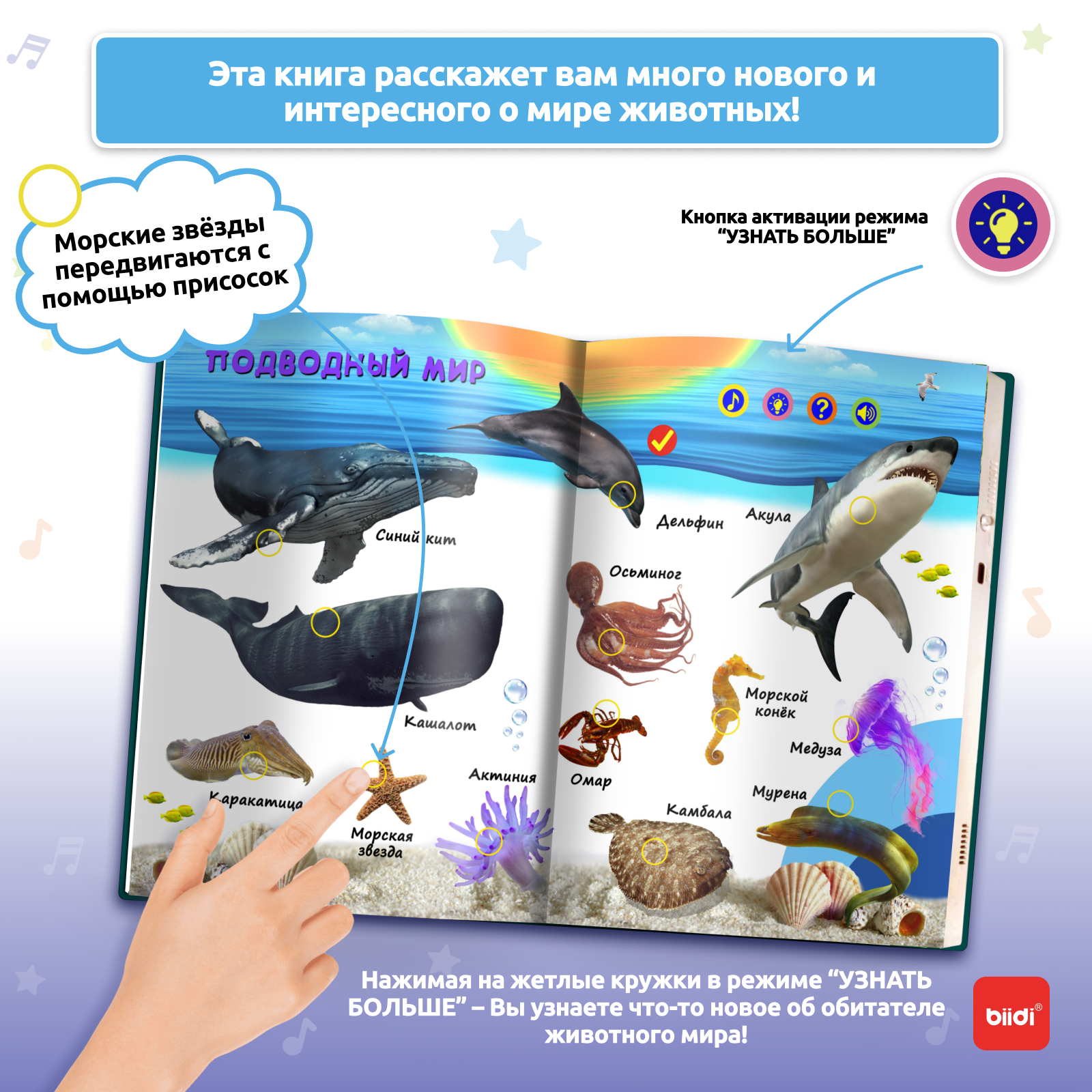 Biidi learning game for kids M - Education Kids Ru avis et prix
