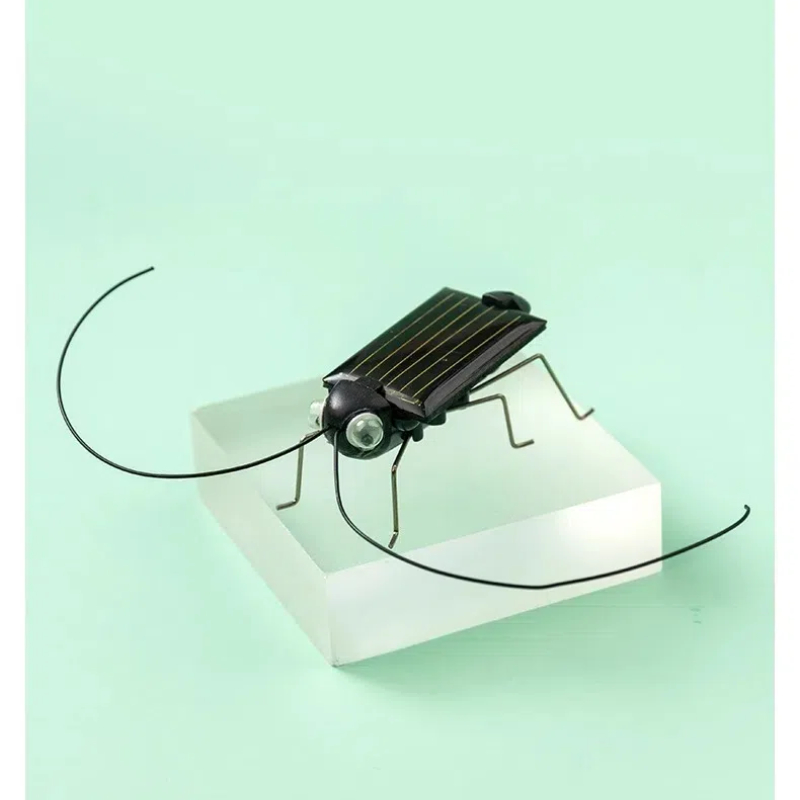 Solar Powered Locust Grasshopp - Kingdom Kids Education avis et prix