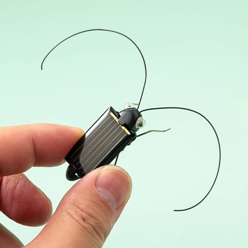 Solar Powered Locust Grasshopp - Kingdom Kids Education avis et prix