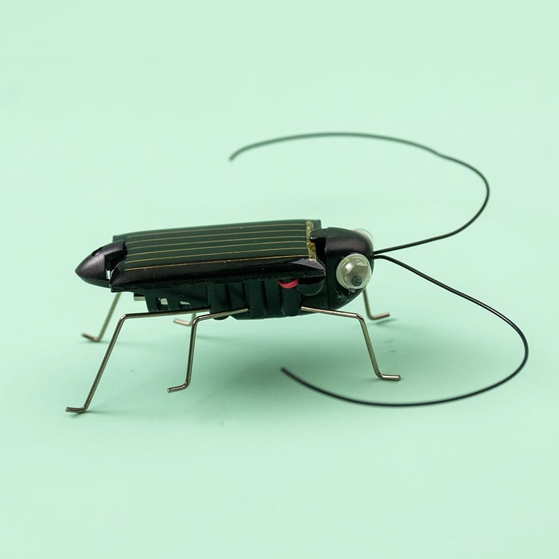Solar Powered Locust Grasshopp - Kingdom Kids Education avis et prix