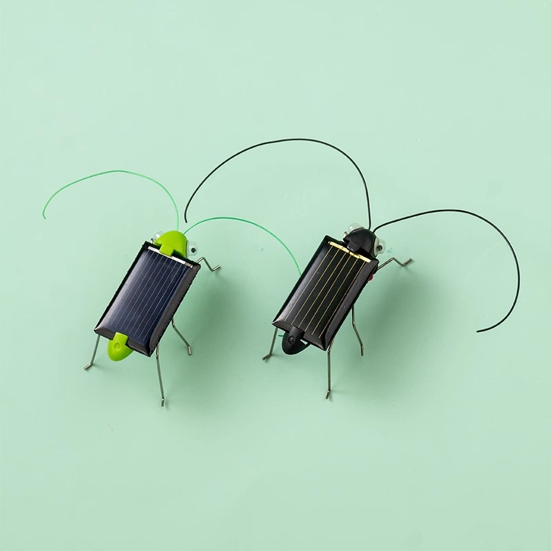 Solar Powered Locust Grasshopp - Kingdom Kids Education avis et prix